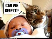 Катя Степаненко фотография #41 (источник - https://vk.com/id815359)