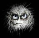 Фотография Курыша Павла