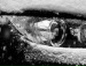 Дмитрий Сидоренко фотография #24 (источник - https://vk.com/id102488413)