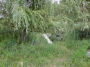 Сірьожа Шевчук фотография #16 (источник - https://vk.com/id155601063)