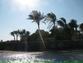 Ірина Лісович фотография #48 (источник - https://vk.com/id19871993)