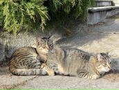 Sanya Yaninskiy фотография #17 (источник - https://vk.com/id16920291)