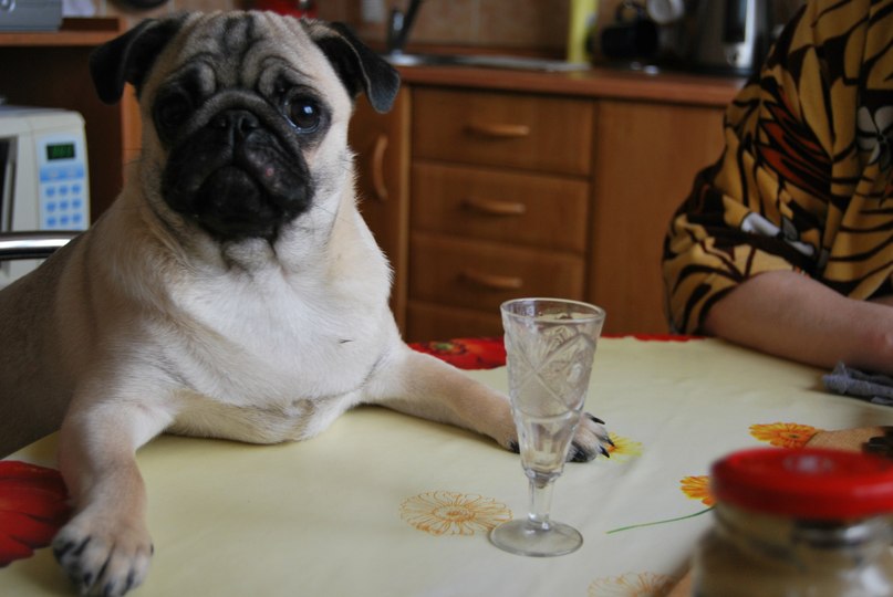 Виктор Киселев фотография #43