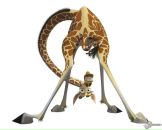 Фотография Зотов Константин