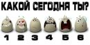 Аліса Павлюк фотография #8 (источник - https://vk.com/id152187415)