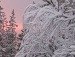 Елена Николаева фотография #16 (источник - https://vk.com/id160244419)