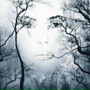 Фотография Сулоев Денис