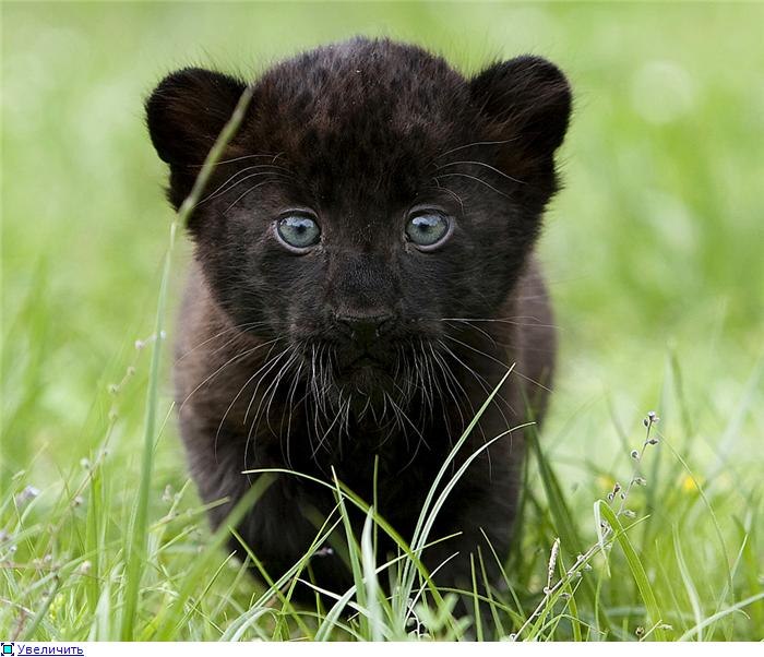 Маша Самарская фотография #13