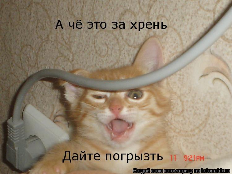 Вяче Слав фотография #12