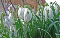 Софія Ремінська фотография #45 (источник - https://vk.com/id60146755)