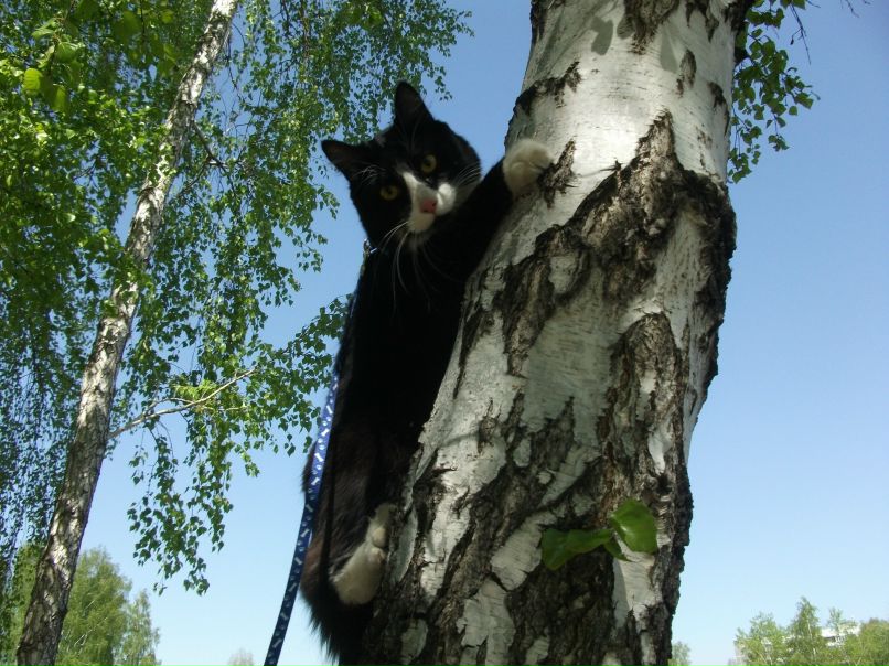 Иван Белов фотография #41