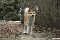 Фотография Давыдова Сашеньки