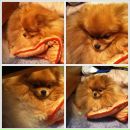 Julia Obukhova фотография #27 (источник - https://vk.com/id967301)