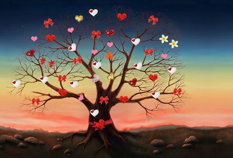 Элис Каленн фотография #5