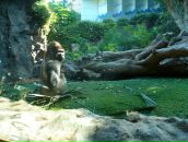 Фотография Кирилины Светы