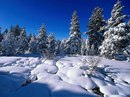 Віра Плотнікова фотография #50 (источник - https://vk.com/id162868922)
