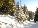 Рустам Кадіров фотография #13 (источник - https://vk.com/id131997471)
