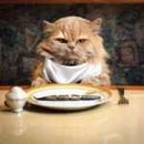 Фотография Брусникина Тони