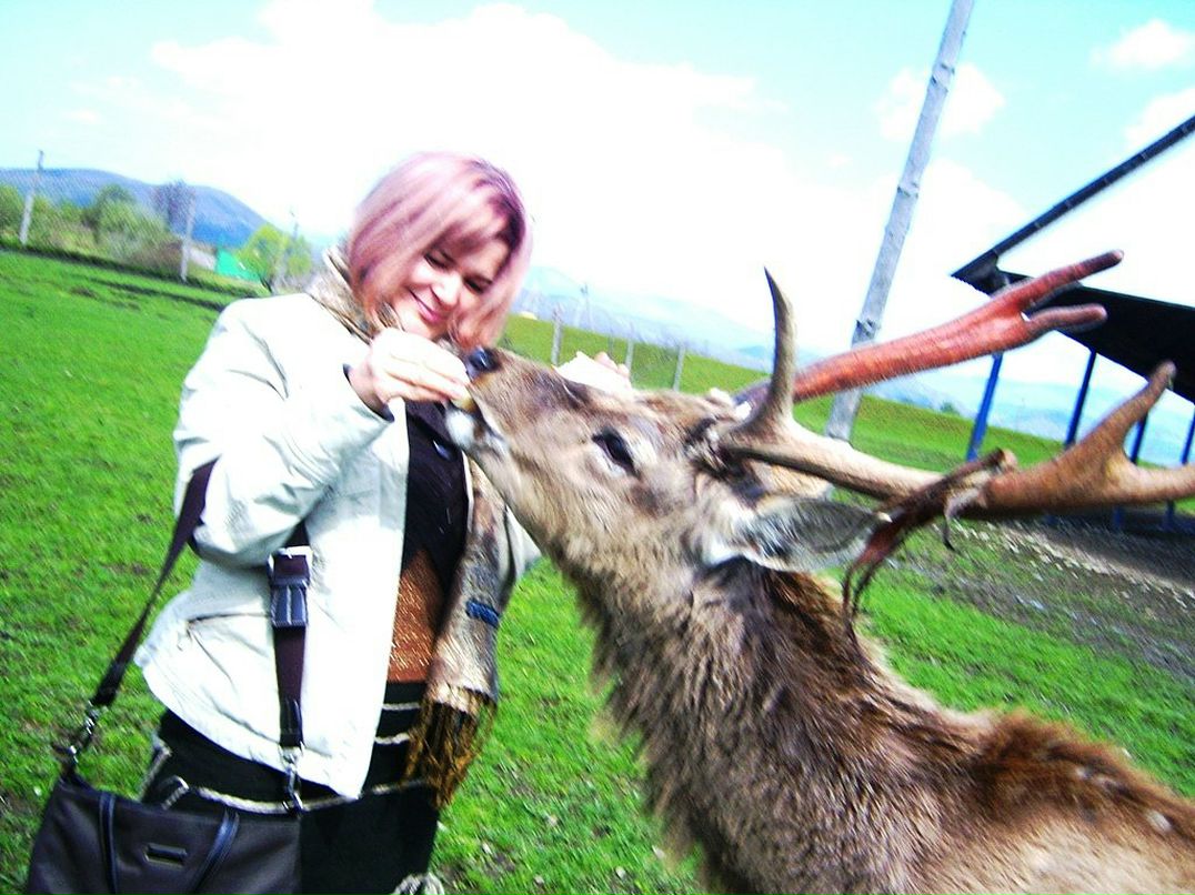 Алла Сабов фотография #24