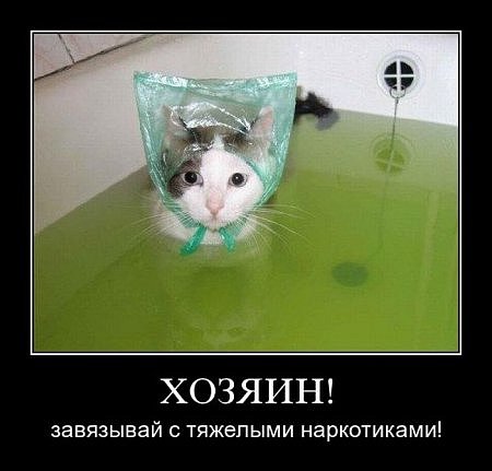 №6, Никита Зимин №6, Никита Зимин