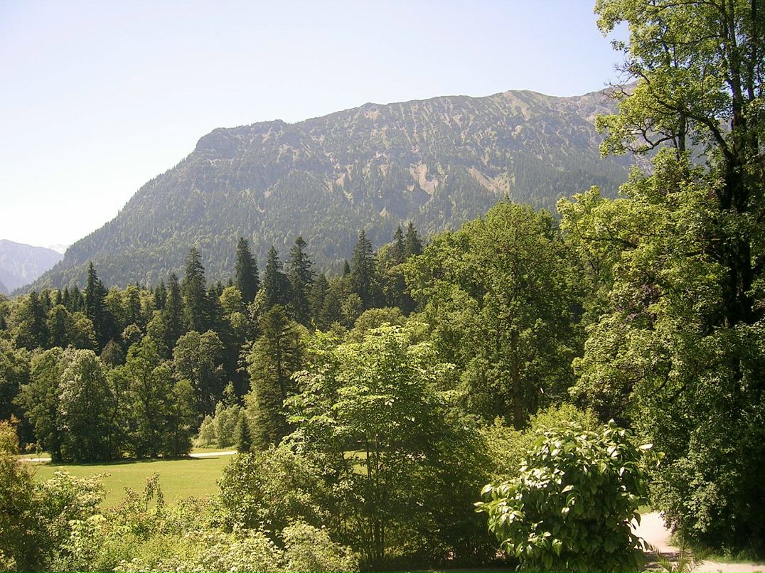 Павел Асеев фотография #43