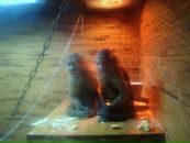 Мішаня Василюк фотография #47 (источник - https://vk.com/id16829036)