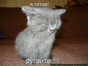 Дмитрий Гришковец фотография #1