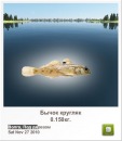 Роман Савельєв фотография #6 (источник - https://vk.com/id87971717)