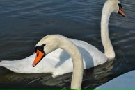 Juliette St фотография #4 (источник - https://vk.com/id32418344)