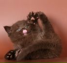 Фотография Макарова Виталия