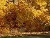 Ірина Тихоненко фотография #35 (источник - https://vk.com/id112132375)