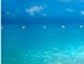 Дмитрий Грязнов фотография #2 (источник - https://vk.com/id478663)