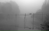 Фотография Добренькова Николая