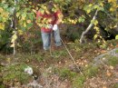 Семён Мельников фотография #29 (источник - https://vk.com/id2954595)