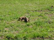 Юрій Демко фотография #23 (источник - https://vk.com/id35144137)