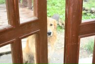 Фотография Демидовой Марины