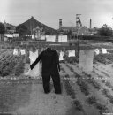 Міша Костик фотография #31 (источник - https://vk.com/id15137294)