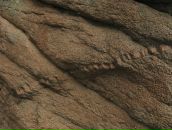 Фотография Руцкой Ксении