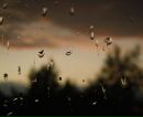 Фотография Сондоре Яны