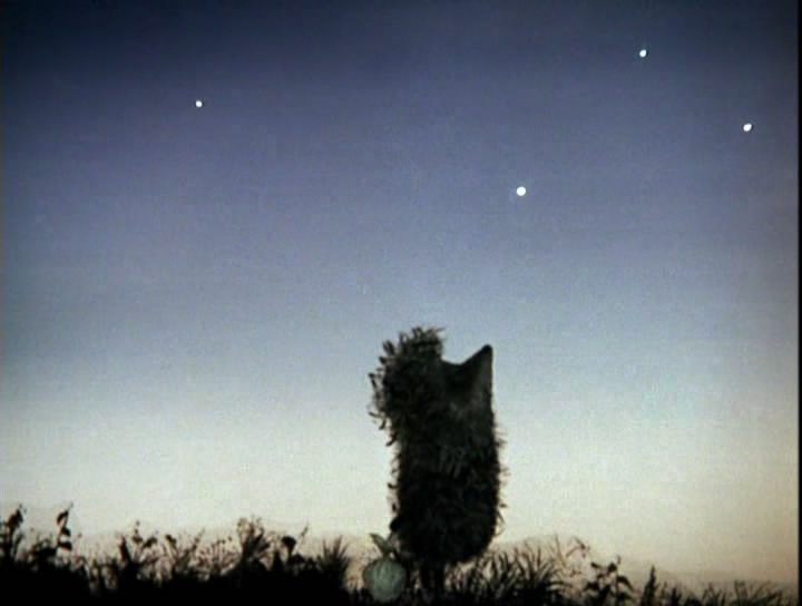 Антон Савватеев фотография #40