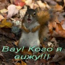 Олег Іванішин фотография #6 (источник - https://vk.com/id134872990)