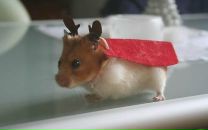 Фотография Туголуковой Надежды