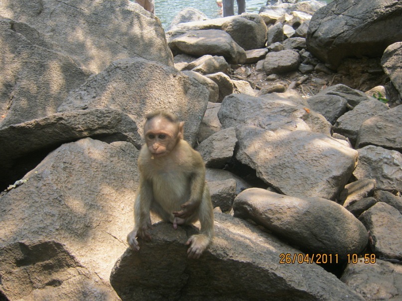 Васёна Апрель фотография #4