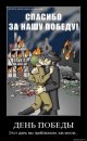 Артем Селідов фотография #47 (источник - https://vk.com/id2802987)