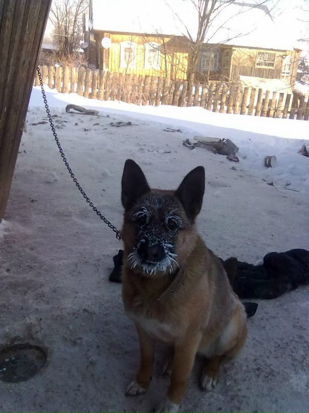 Светлана Даценко фотография #37