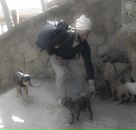 Николай Никифоров фотография #31 (источник - https://vk.com/id1563701)