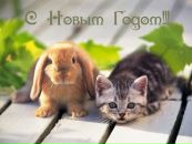 Фотография Владимировой Светланы