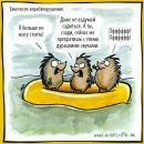 NN __ фотография #48 (источник - https://vk.com/id3825551)