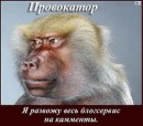 Сергій Гайдеєв фотография #11 (источник - https://vk.com/id63450867)