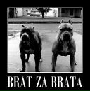 Фотография Абебозера Зелёныя